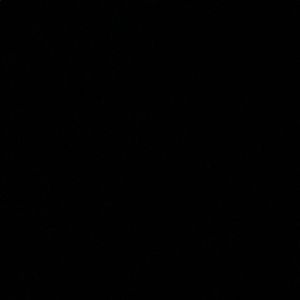 Meet your Posher, Lucas